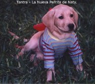 Tanatra - Naty's gdog